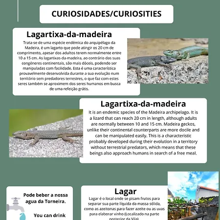 Сasa de vacaciones Renacer *