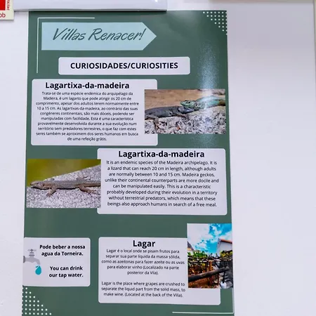 Сasa de vacaciones Renacer Paul do Mar (Madeira)