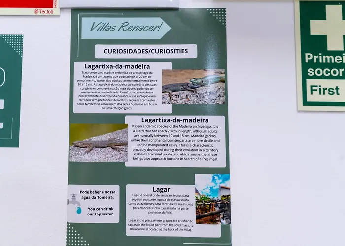 Ferienhaus Renacer Paul do Mar (Madeira)